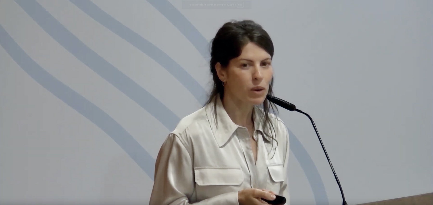 Identificación de sustrato por la impedancia local