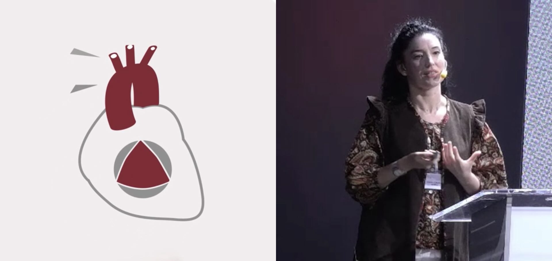Novedades de las actuales guías de endocarditis infecciosa