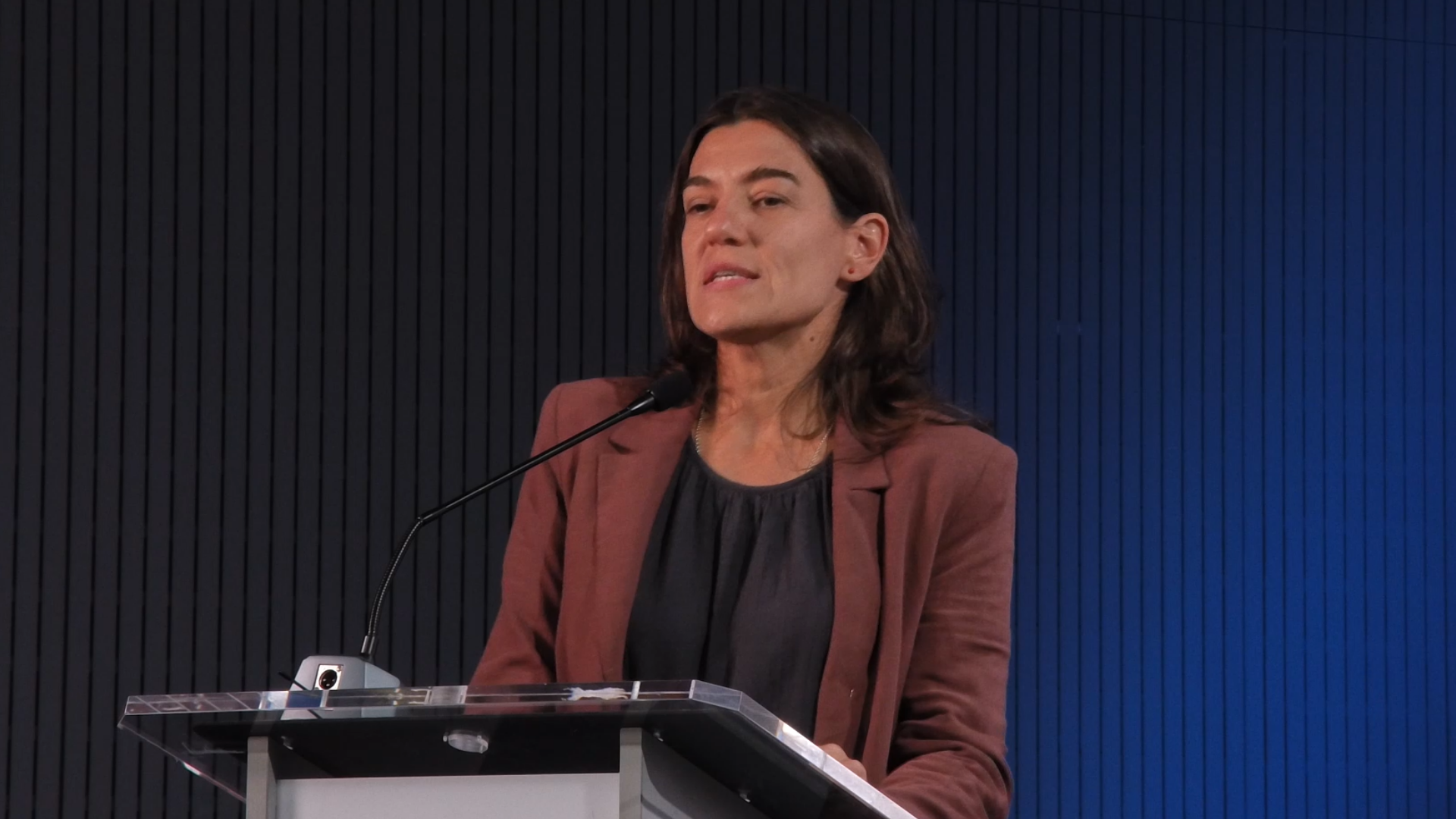 Retos en la anticoagulación y la antiagregación del paciente portador de prótesis percutánea