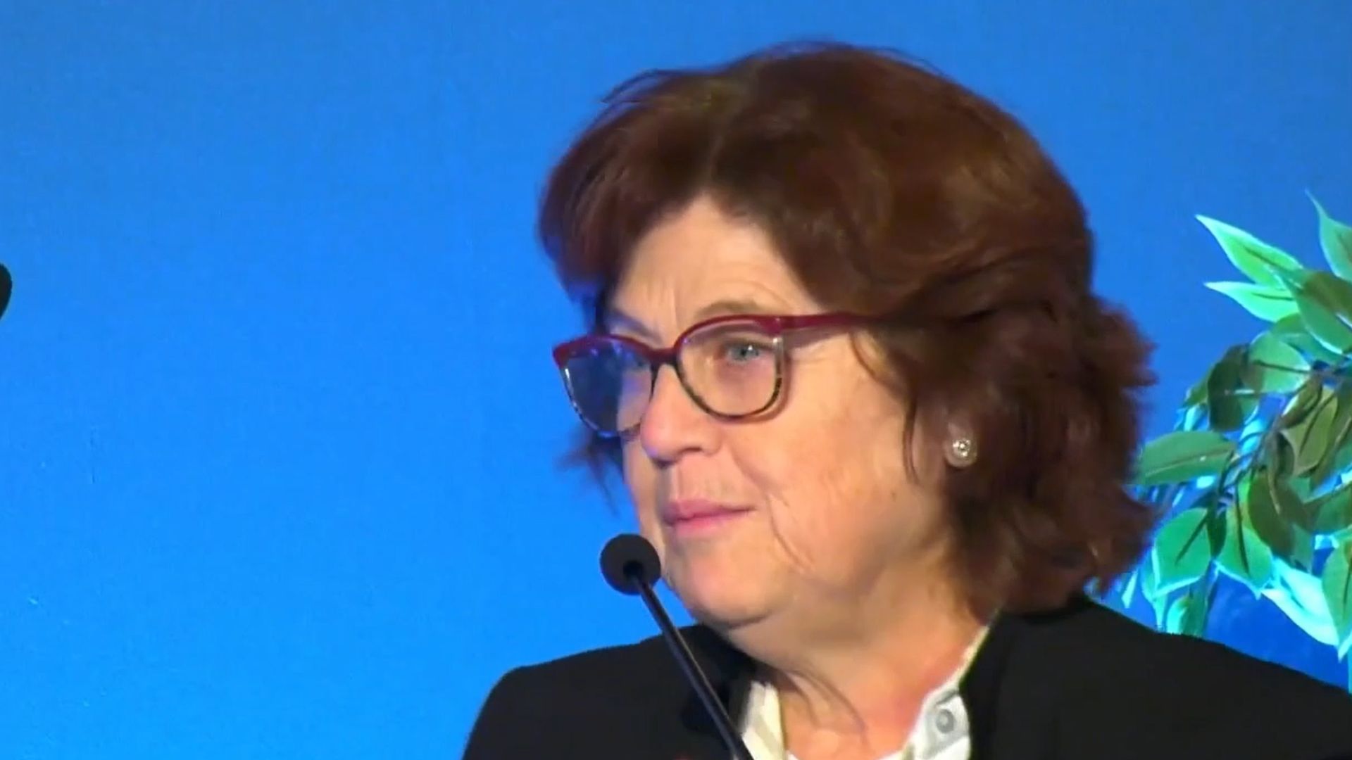 La hipertension pulmonar como modelo de colaboraci&oacute;n