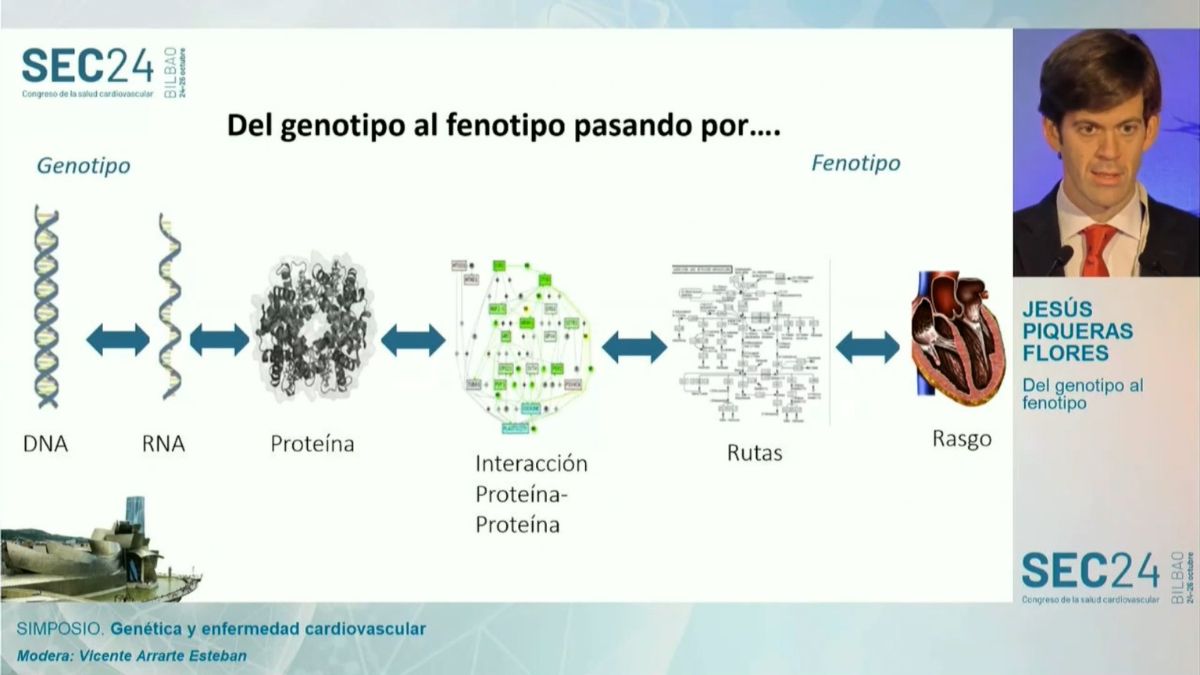 Genética y enfermedad cardiovascular - Del genotipo al fenotipo