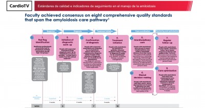 Est&aacute;ndares de calidad e indicadores de seguimiento en el manejo de la amiloidosis