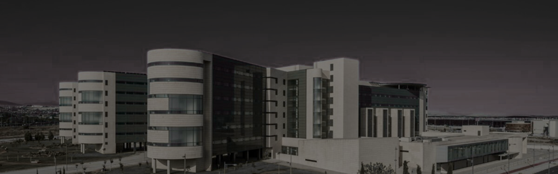 Simposium Ictus y Fibrilación Auricular - Focus On Transformación Digital