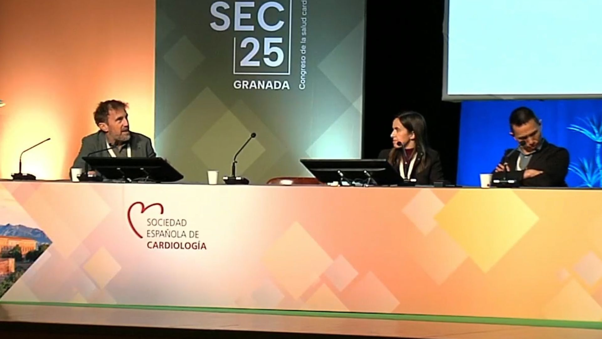 Temas candentes en intervencionismo estructural valvular